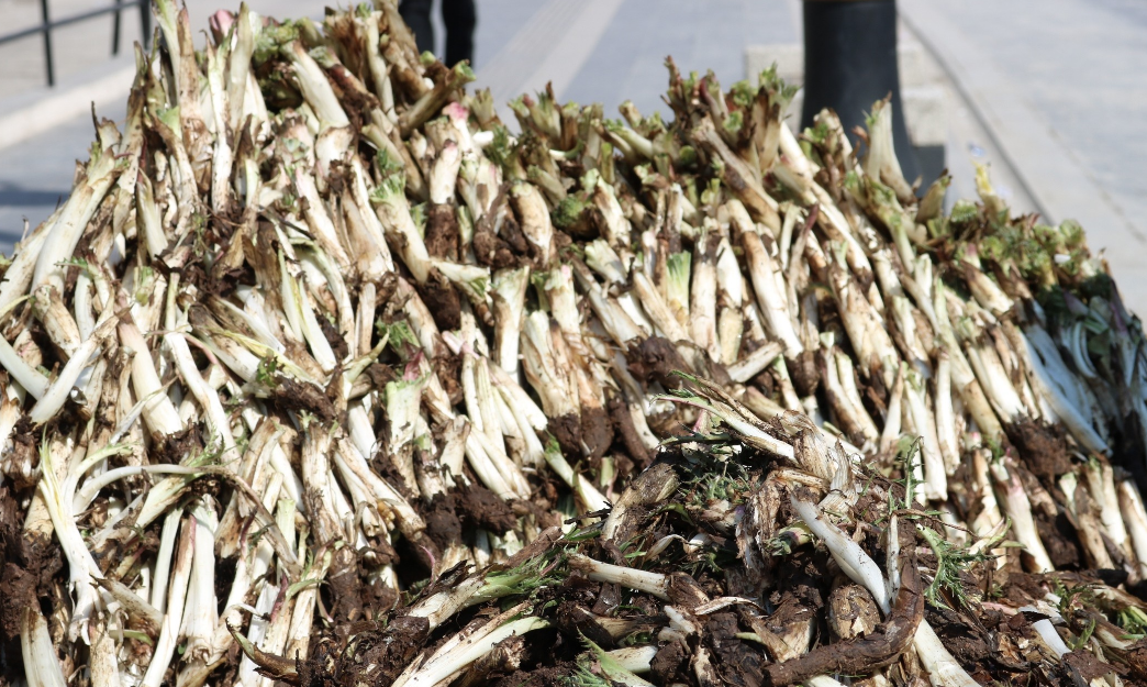 Diyarbakırlıların beklediği bitki pazara girdi günde 250 kilo satılıyor