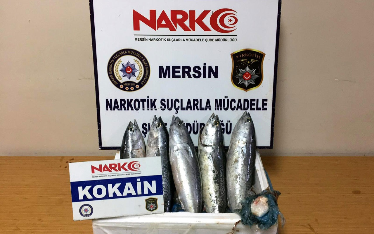 Mersin'de balıkla uyuşturucu sevkiyatı polise yakalandı