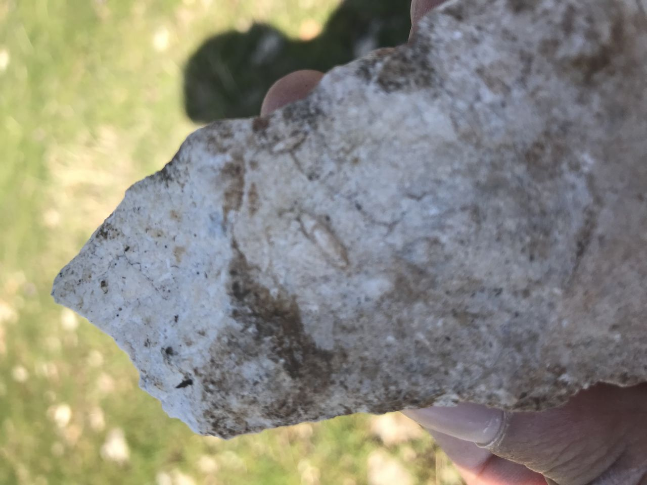Cudi Dağı'nda dolaşırken tesadüfen buldu 12 milyon yıllık