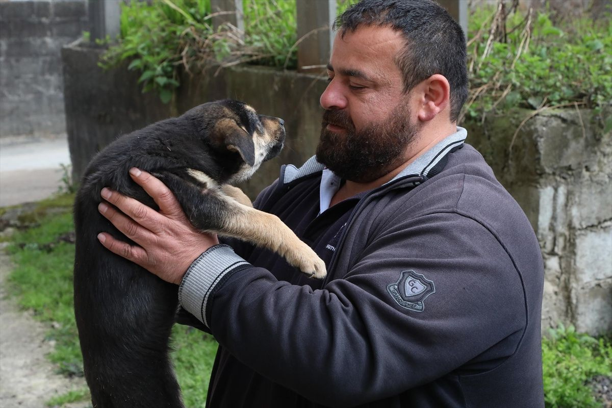 Rize'de köpeğe suni teneffüs yapan vatandaş konuştu