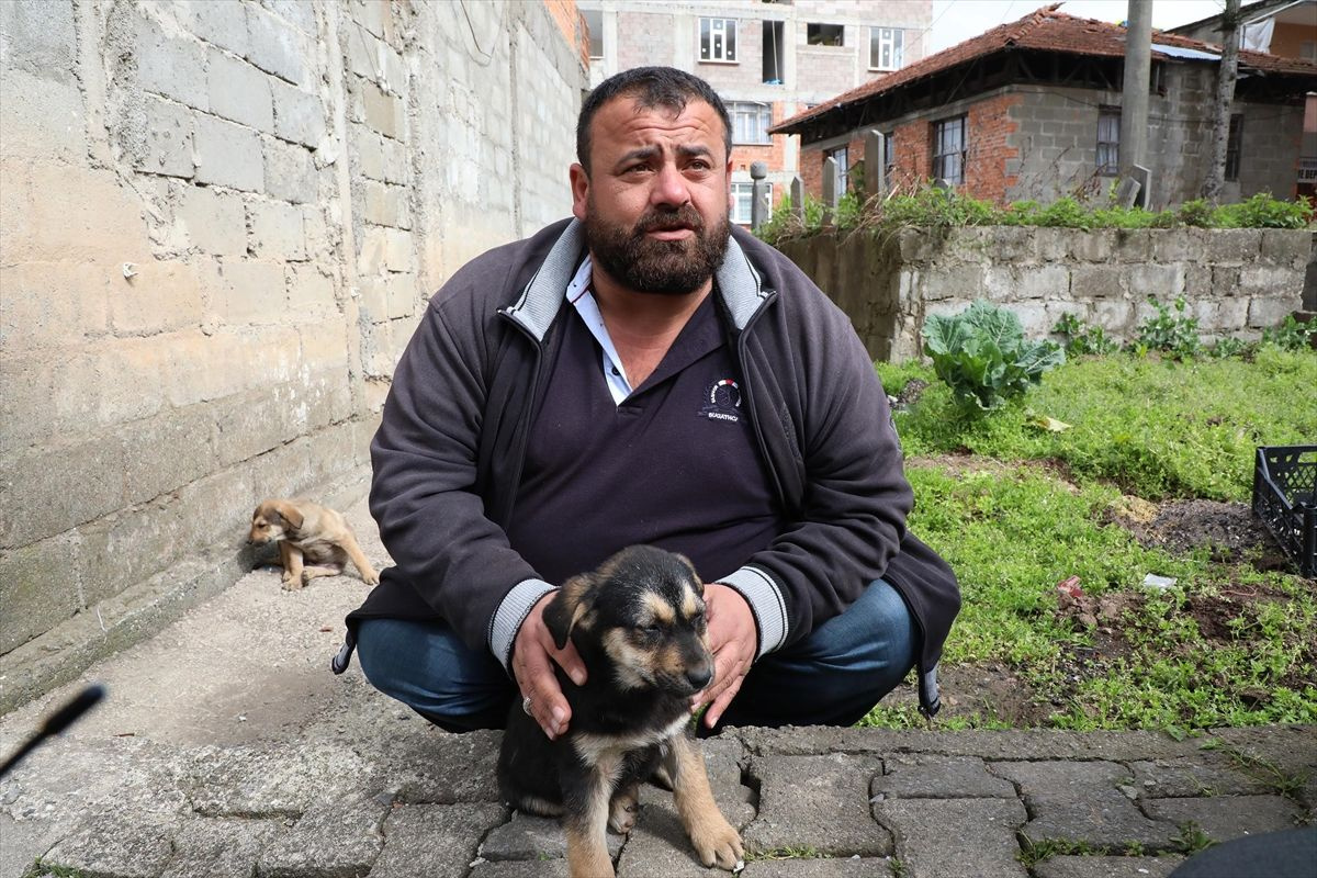 Rize'de köpeğe suni teneffüs yapan vatandaş konuştu