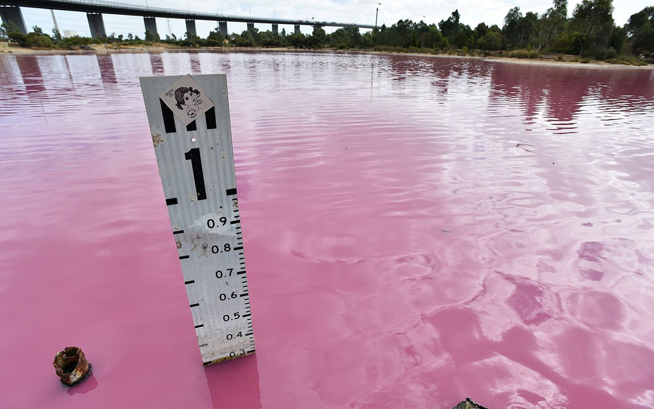 Avustralya'da bir göl pembe renge büründü