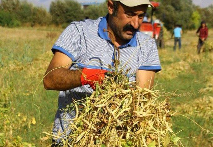 TKP'li Fatih Mehmet Maçoğlu kimdir eşi Gülistan Maçoğlu ev hallerini anlattı - Sayfa 3