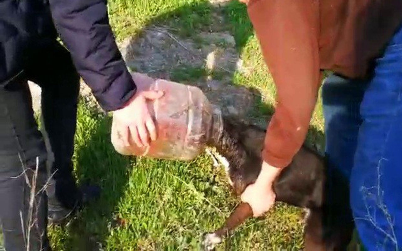 Kafası bidona sıkışan köpeği vatandaşlar kurtardı