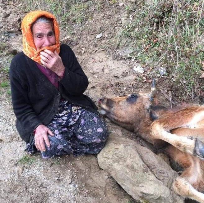 Haluk Levent'ten çeresizliğin sembolü olan Sabiha nineye müjde!