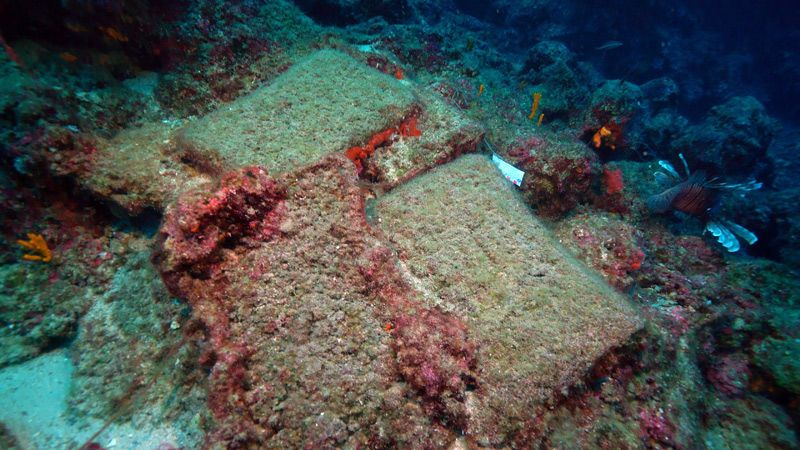 Antalya açıklarında bulundu tam 74 külçe