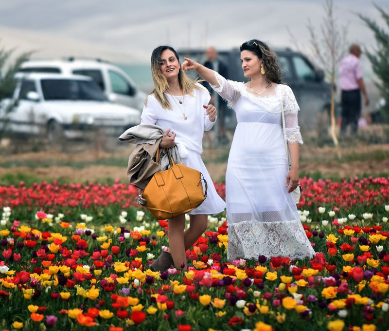 Konya Ovası'nda turistler fotoğraf için sıraya giriyor