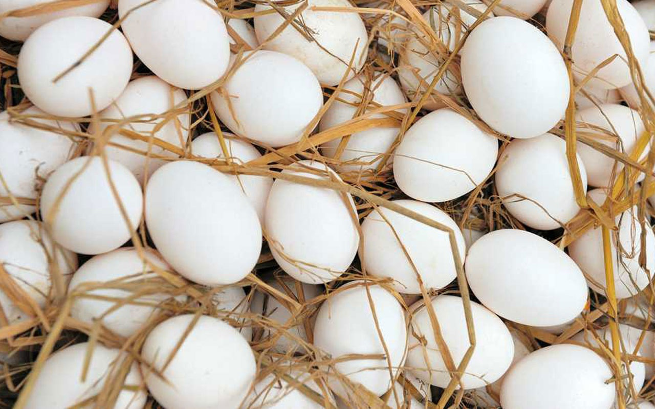 Yumurta KDV indirimini de yıktı geçti! Ticaret Bakanlığı'ndan flaş talimat