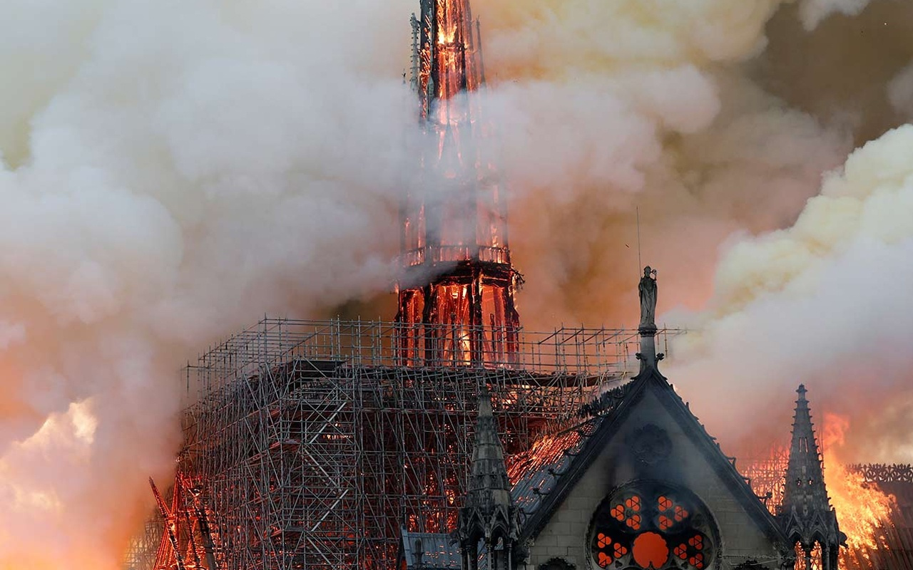 Notre Dame'ın çatısında yaşayan 200 bin arı yangından sağ kurtulmuş!