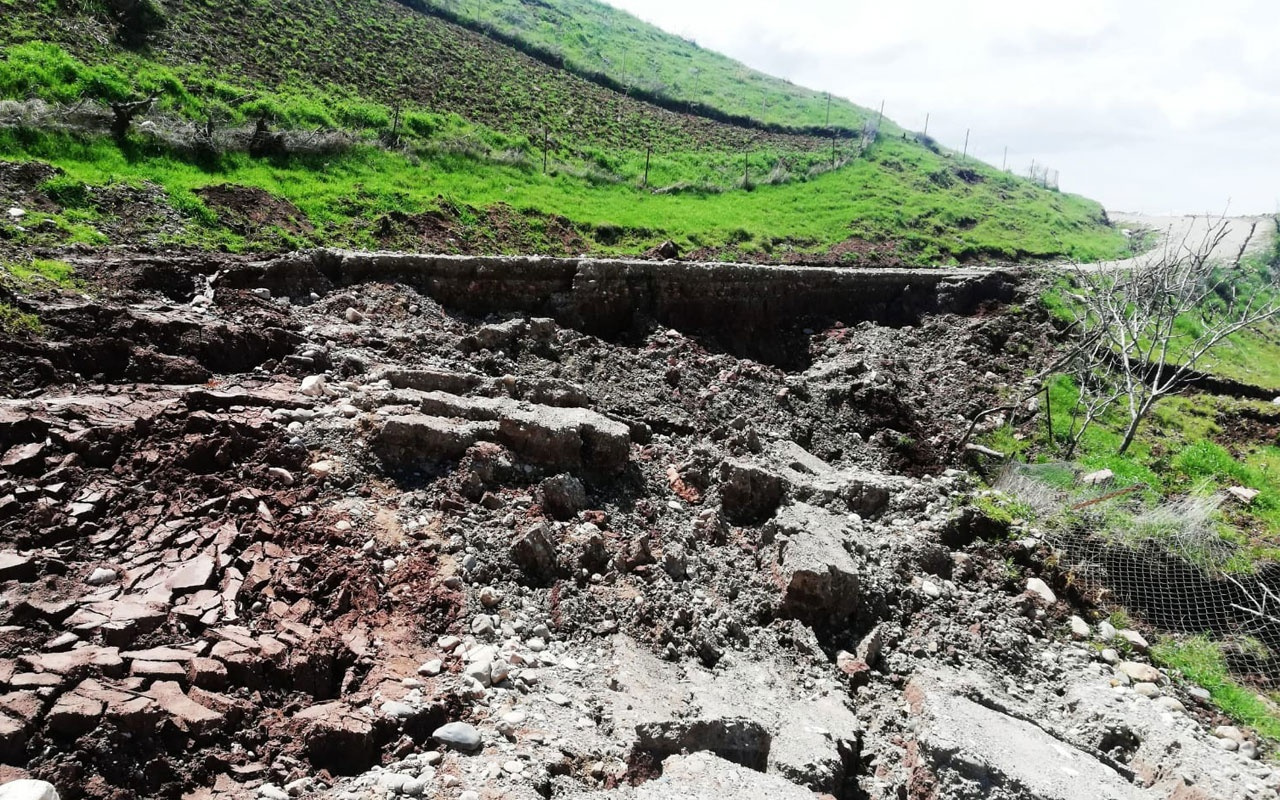 Siirt'te aşırı yağışlar nedeniyle fıstık ağaçları göçük altında kaldı