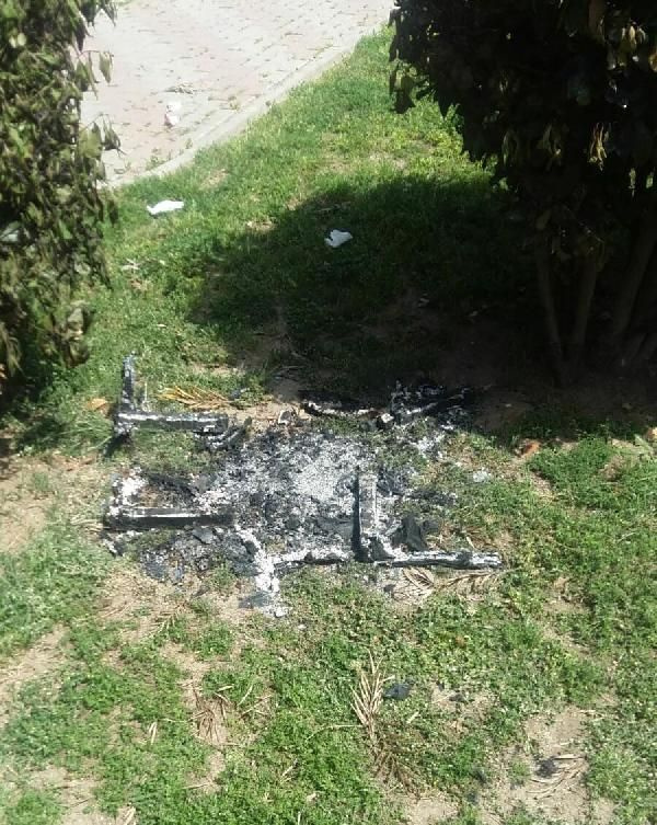 İzmir'de parkta vahşet Diri diri yaktılar!