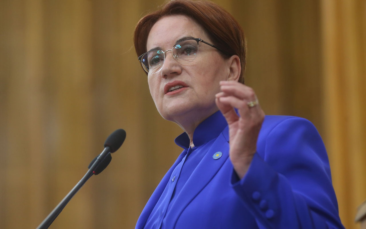 Meral Akşener'den Erdoğan'ın çağrısına olay yanıt Ümit verici buldum