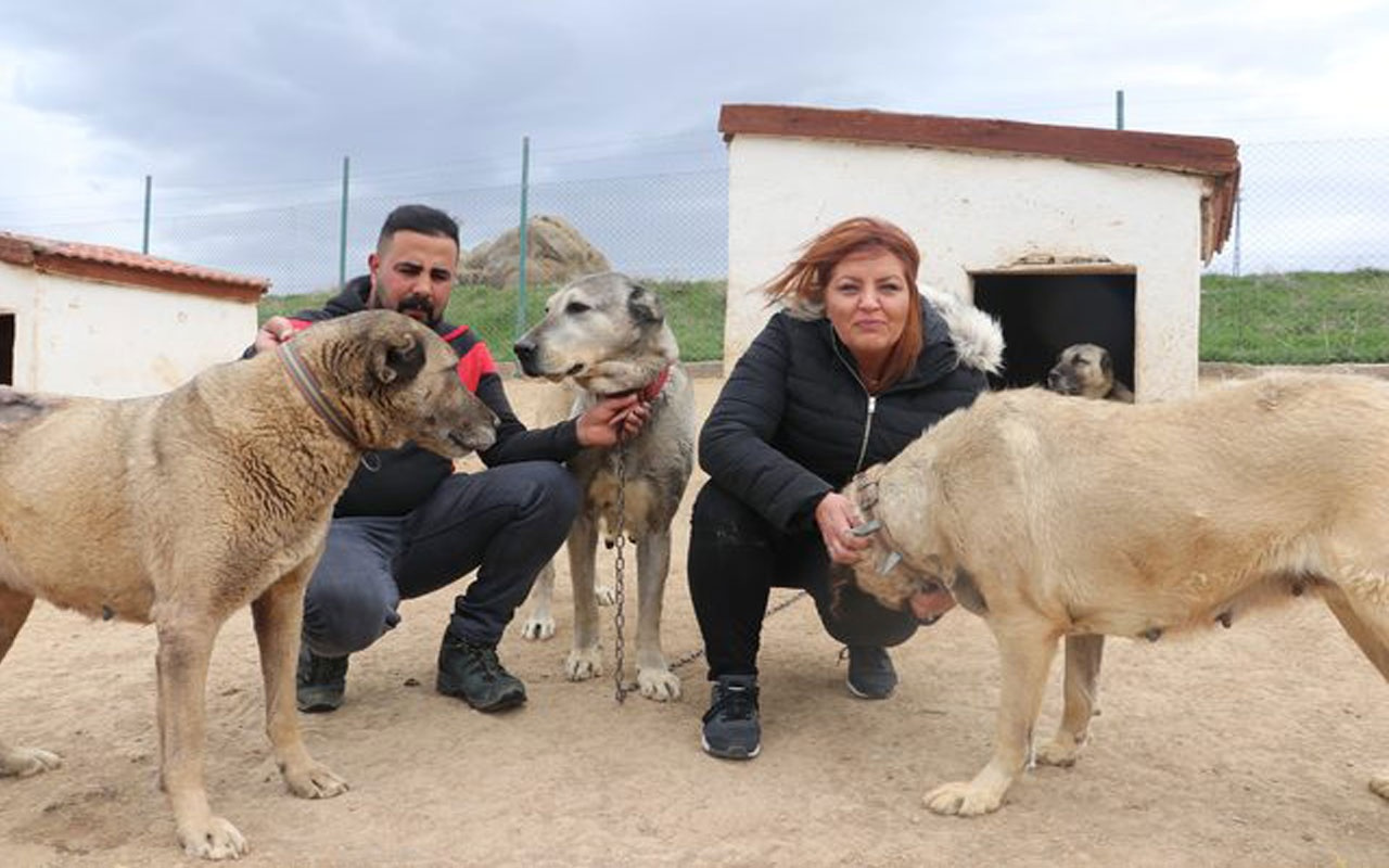 Dünyayı gezdi aradığını Sivas’ta buldu!