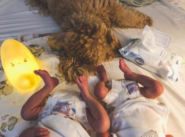 Pelin Akil ve Anıl Altan çifti ikiz bebeklerinin fotoğrafını ilk kez paylaştı
