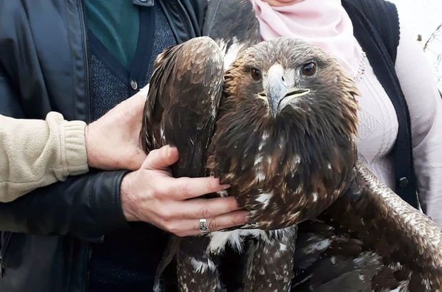 Kars'ta bulundu herkesi hayran bıraktı içinden bakın ne çıktı