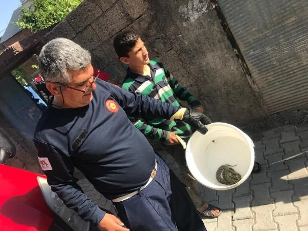 Mardin'de evin ortasında dehşet çocuklar korkuyla dışarı kaçtı