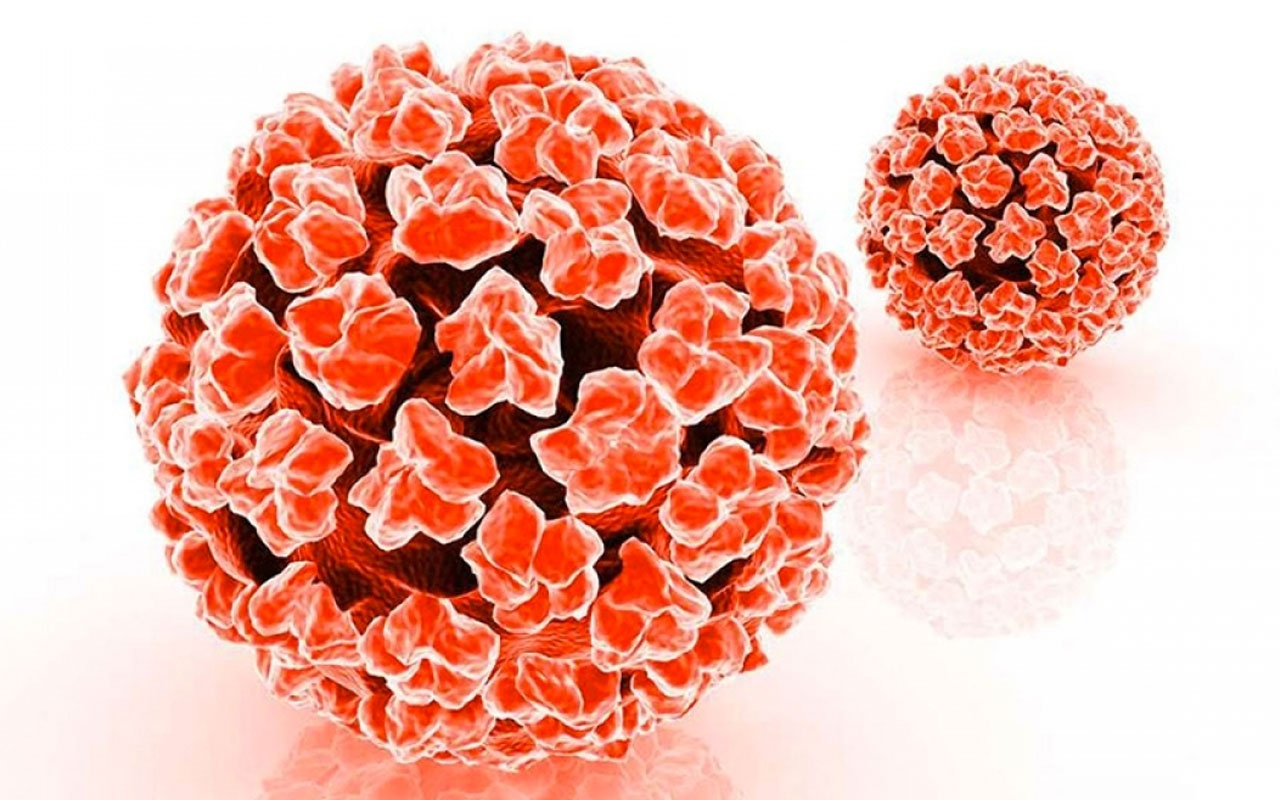 HPV nedir kimlerde görülür 25 yaş altındaki kadınlar dikkat