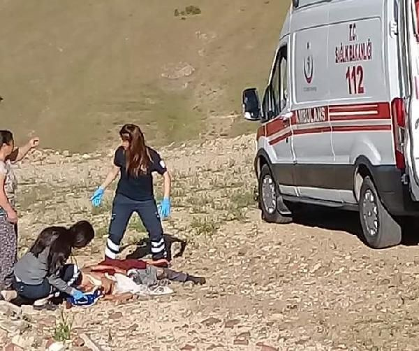 Elazığ'da dehşet! Köpekler yaşlı kadını parçaladı