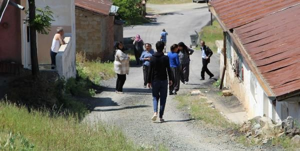 Elazığ'da dehşet! Köpekler yaşlı kadını parçaladı