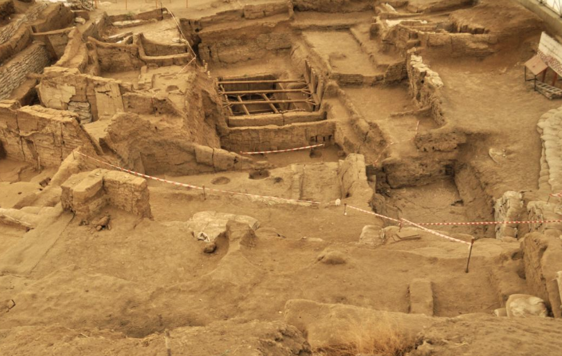 Çatalhöyük'te bulunan 8 bin yıllık parazitler ilk insanlar hakkında bakın neyi açıkladı