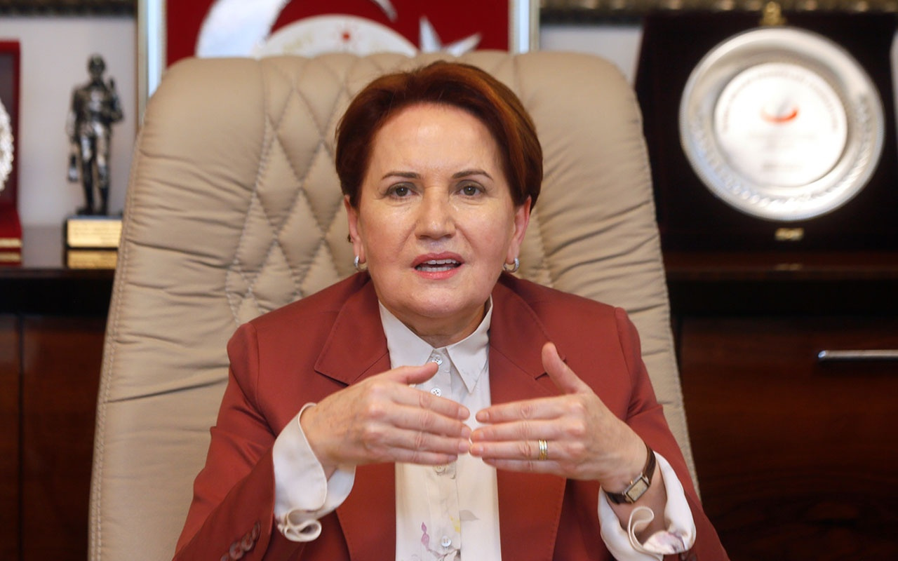 Meral Akşene "Biz de VIP'ten atıldık"