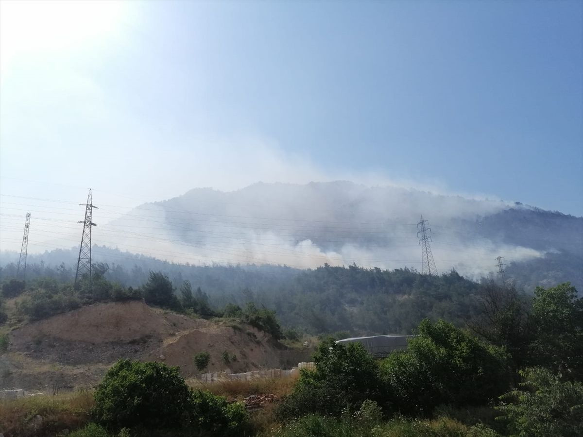 Bilecik'te orman yangını itfaiye ekipleri müdahale ediyor