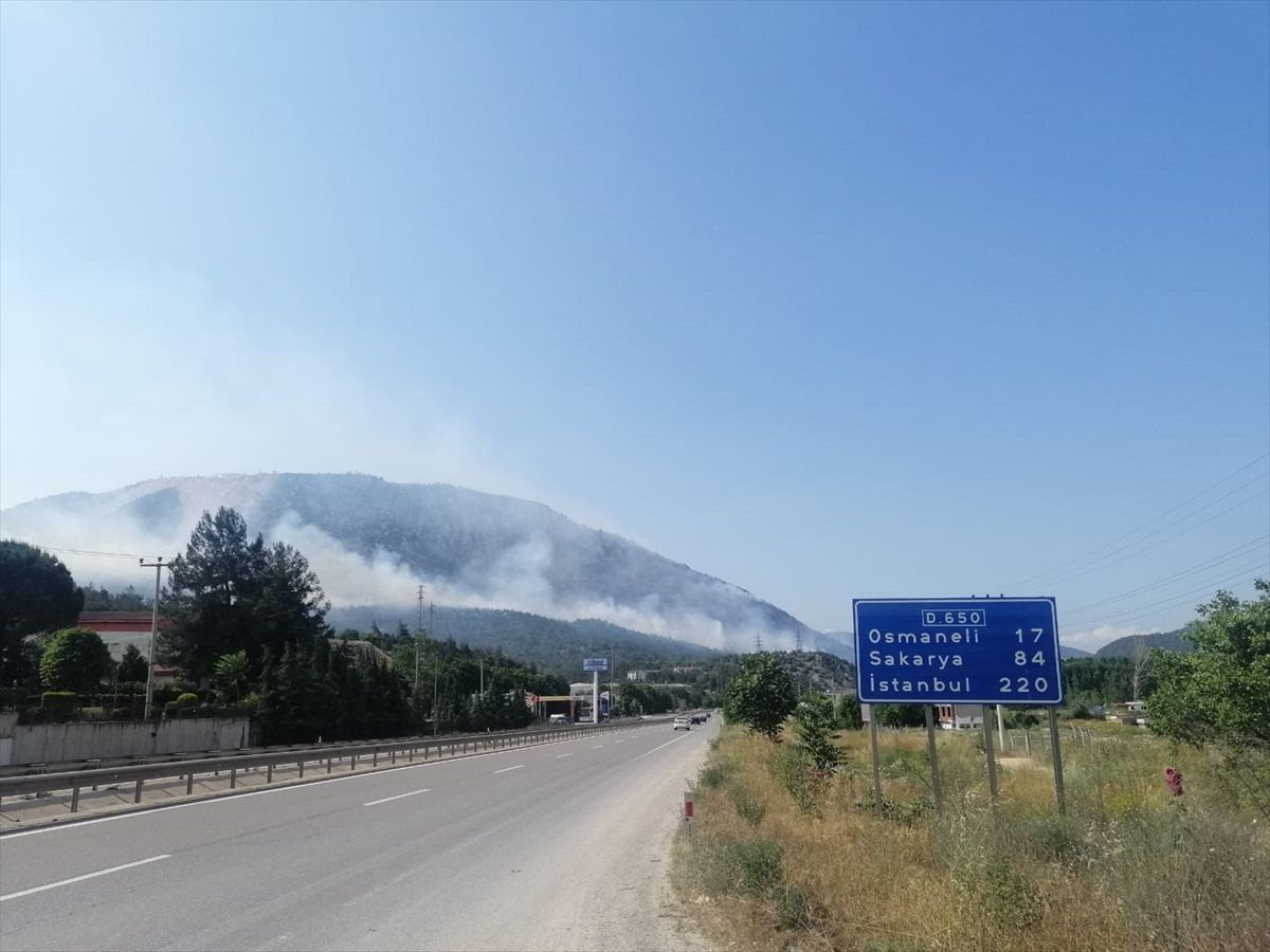 Bilecik'te orman yangını itfaiye ekipleri müdahale ediyor