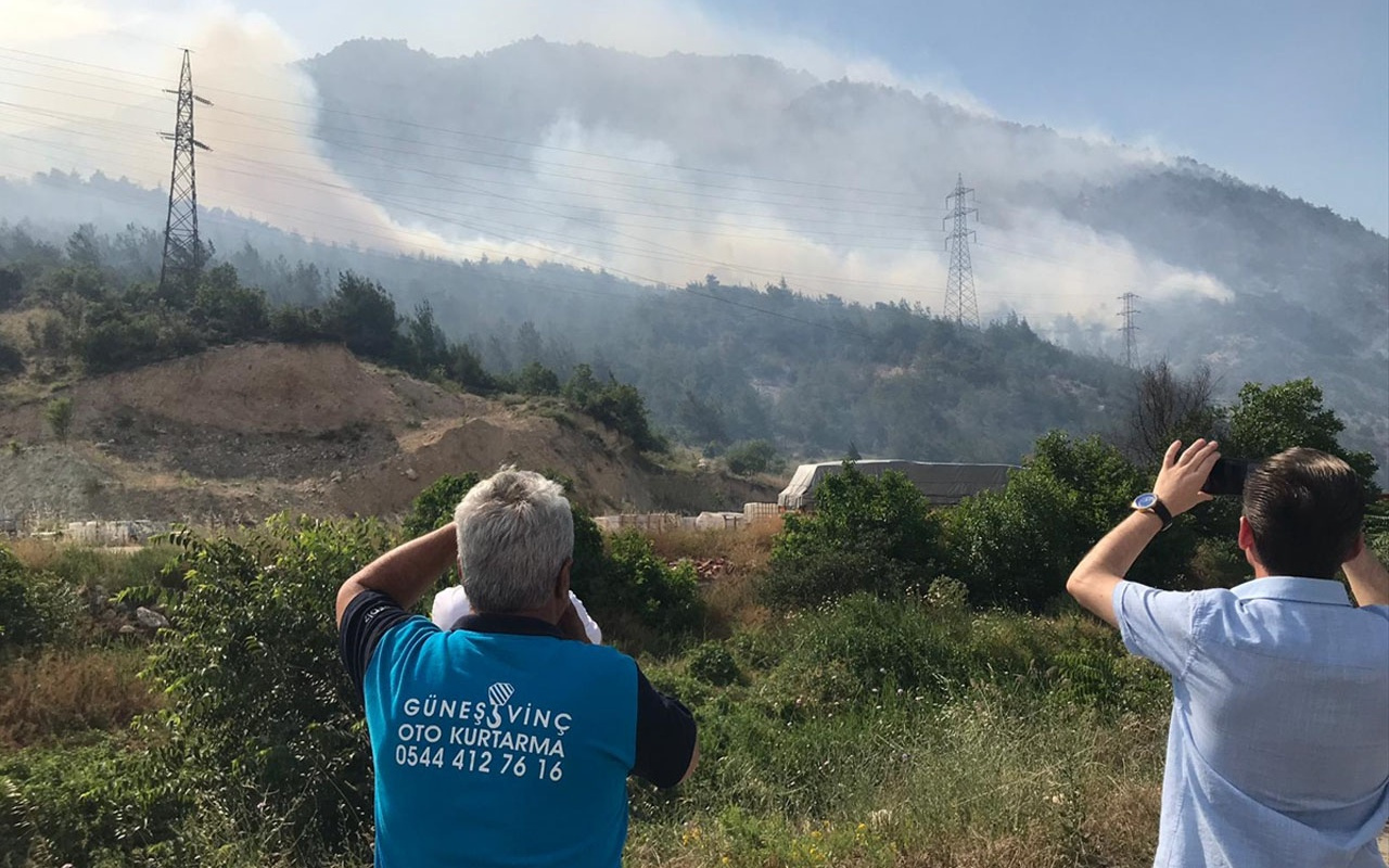 Bilecik'te orman yangını itfaiye ekipleri müdahale ediyor