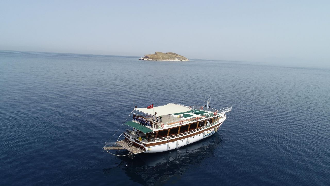 Atatürk Adası’na büyük ilgi! Bakın hangi ilimizde