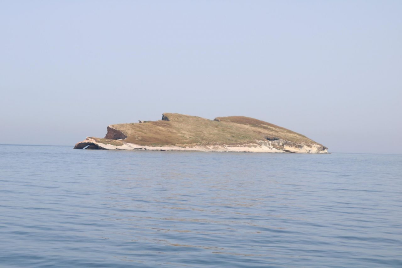 Atatürk Adası’na büyük ilgi! Bakın hangi ilimizde