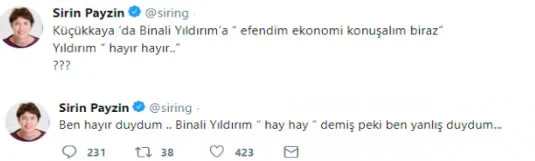 Şirin Payzın baltayı taşa vurdu! O tweeti sildi Şirin Payzın baltayı taşa vurdu! O tweeti sildi