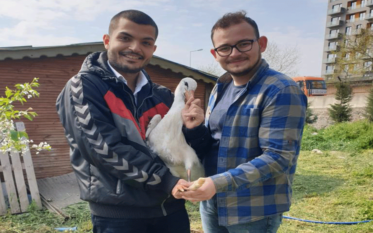 Elektrik tellerine takılarak bacağı kopmuştu! Bakın onun için ne yaptılar