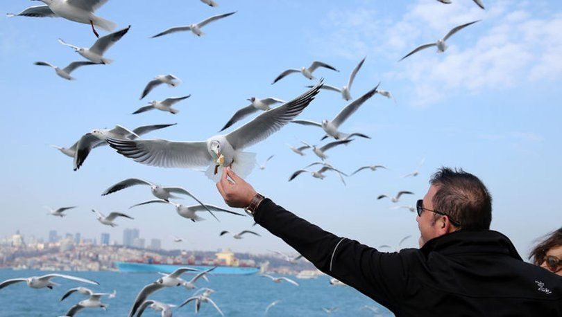 İstanbul sandık başına gidiyor! İşte hava durumu