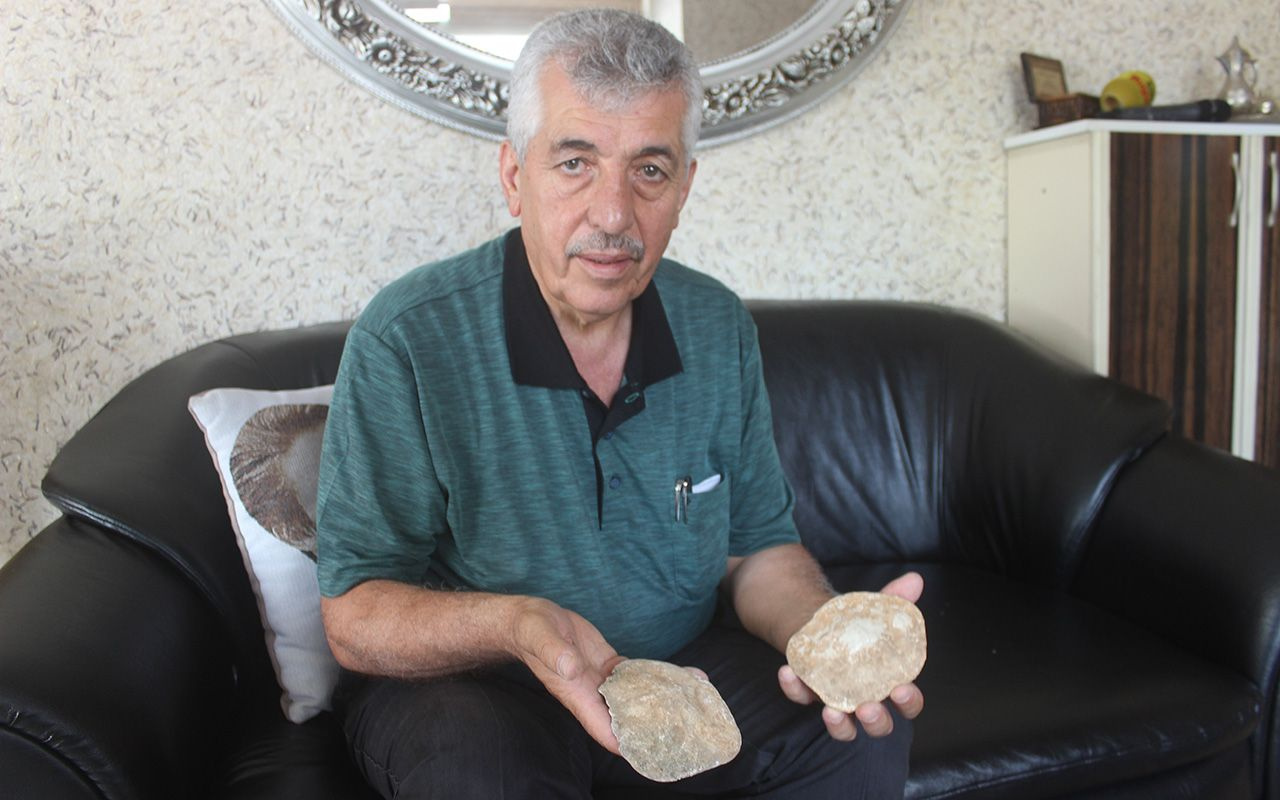 Kahramanmaraş'ta 35 milyon yıllık fosil bulundu