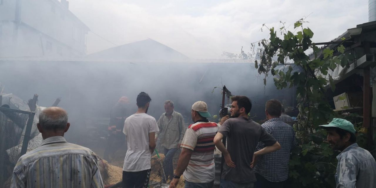 Bursa'da ahır yangınında 14 hayvan telef oldu görüntüler yürek sızlattı