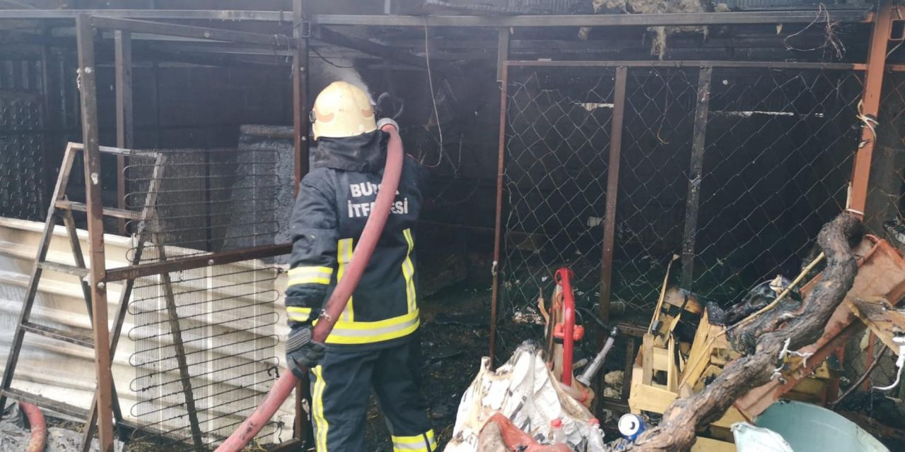 Bursa'da ahır yangınında 14 hayvan telef oldu görüntüler yürek sızlattı