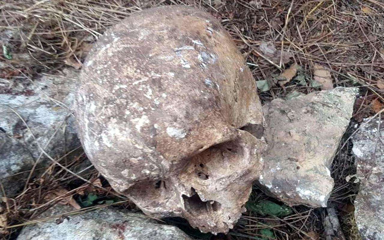 Mersin'de ormanlık alanda 2 kafatası ve kemik parçaları bulundu