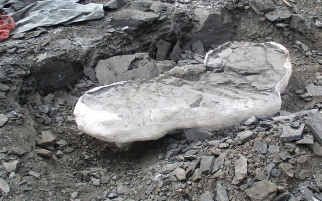 Maden ocağında ortaya çıktı! Tam 70 milyon yıl yaşında