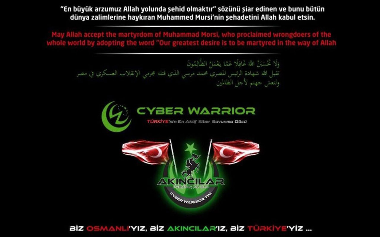 Türk hacker grubu Mısır'ın birçok devlet sitesine siber saldırı yaptı