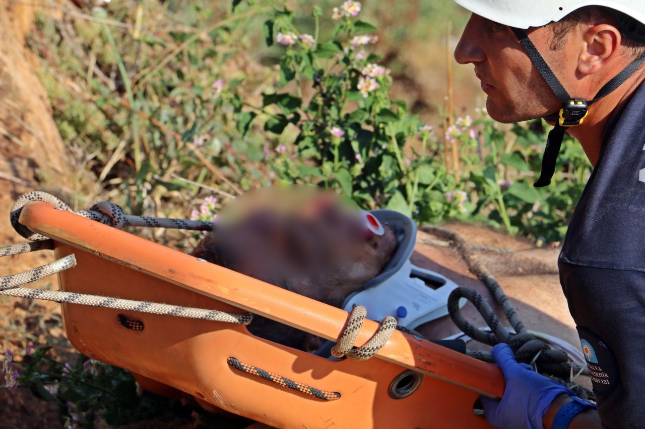 Antalya'da falezlere düşen adamı kurtarmak için ekipler seferber oldu