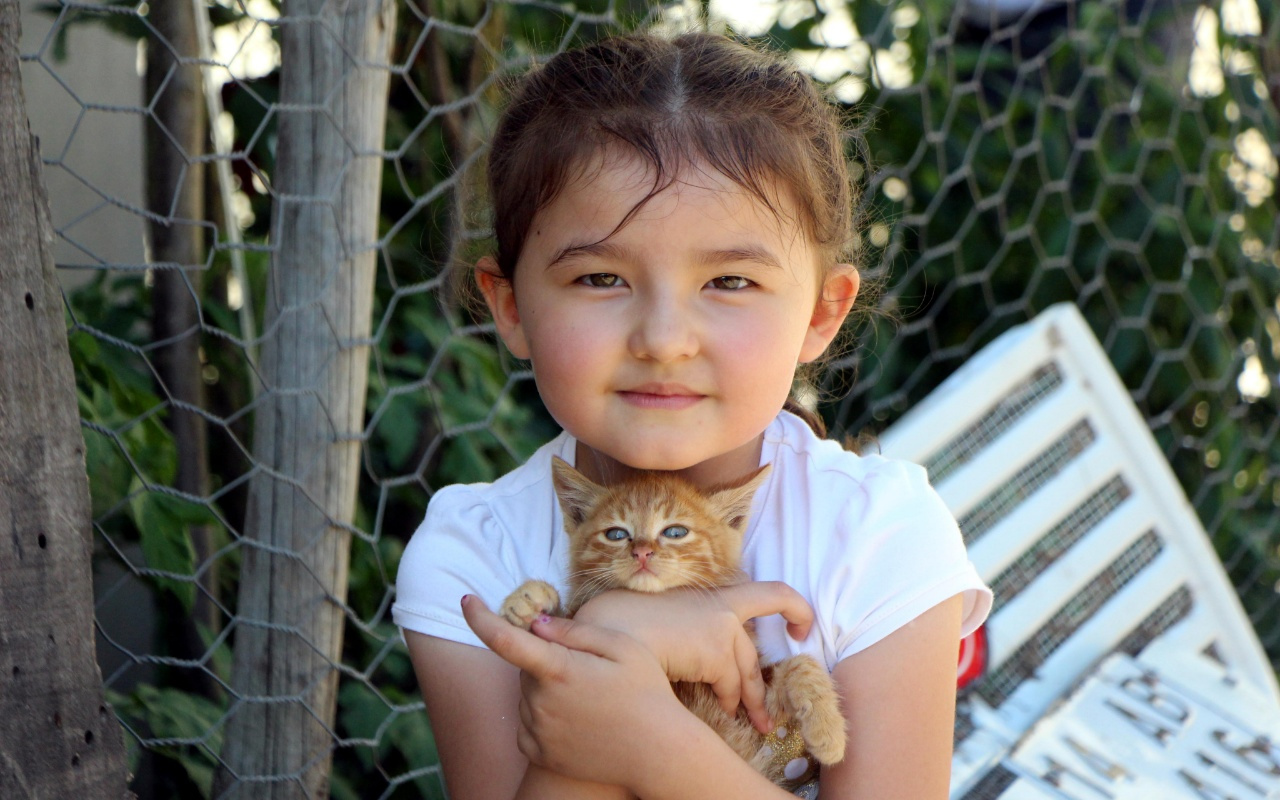 Minik Azra selde kurtardığı yavru kediyi sahiplendi