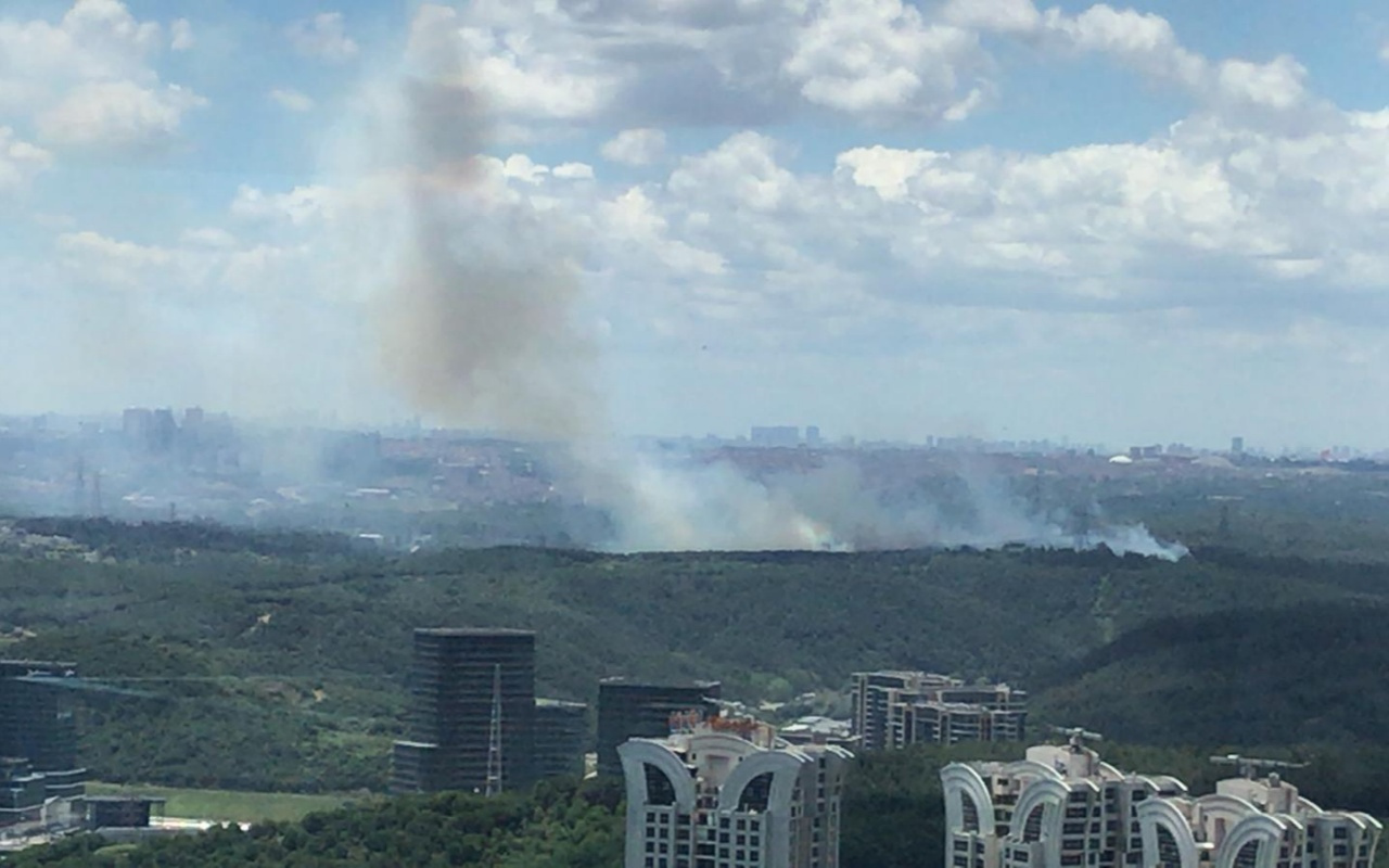 İstanbul Sarıyer'de ormanlık alanda yangın