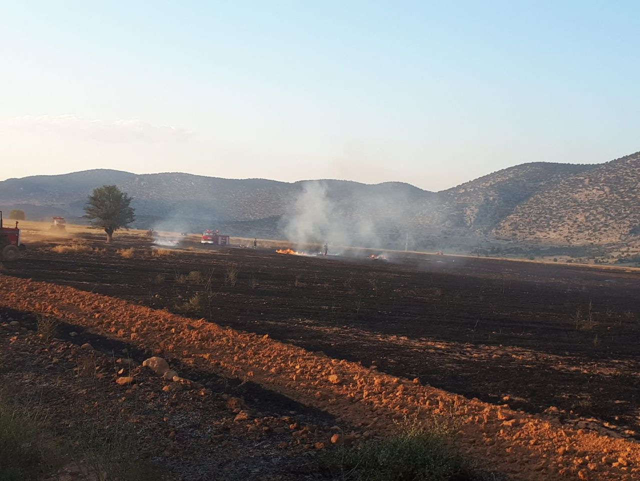Antalya'da kargalar 200 dekarlık anız ve ekin yangınına sebep oldu
