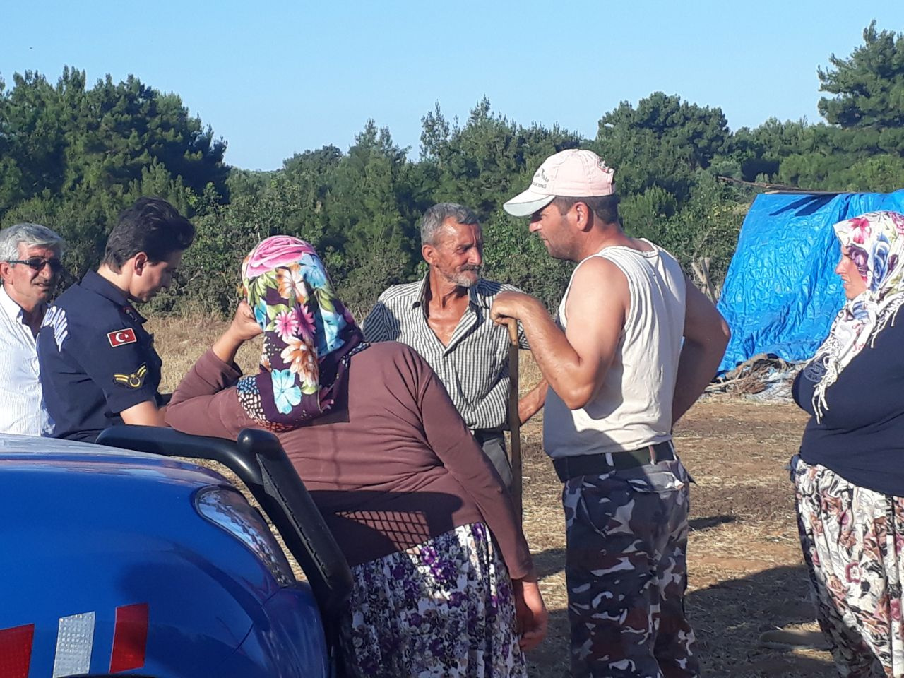 Ağıldaki yangında yavru kuzu ölen küçükbaşların içinde annesini aradı