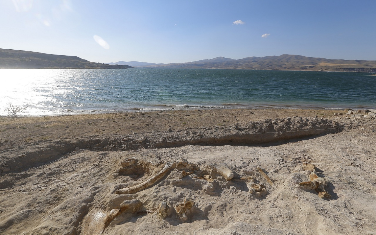 Kayseri'de kazı çalışmalarında 7,5 milyon yıllık fosiller bulundu!