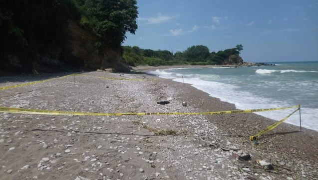 Düzce'de deniz mayını tetikleyicisi sahile vurdu! Jandarma alarma geçti