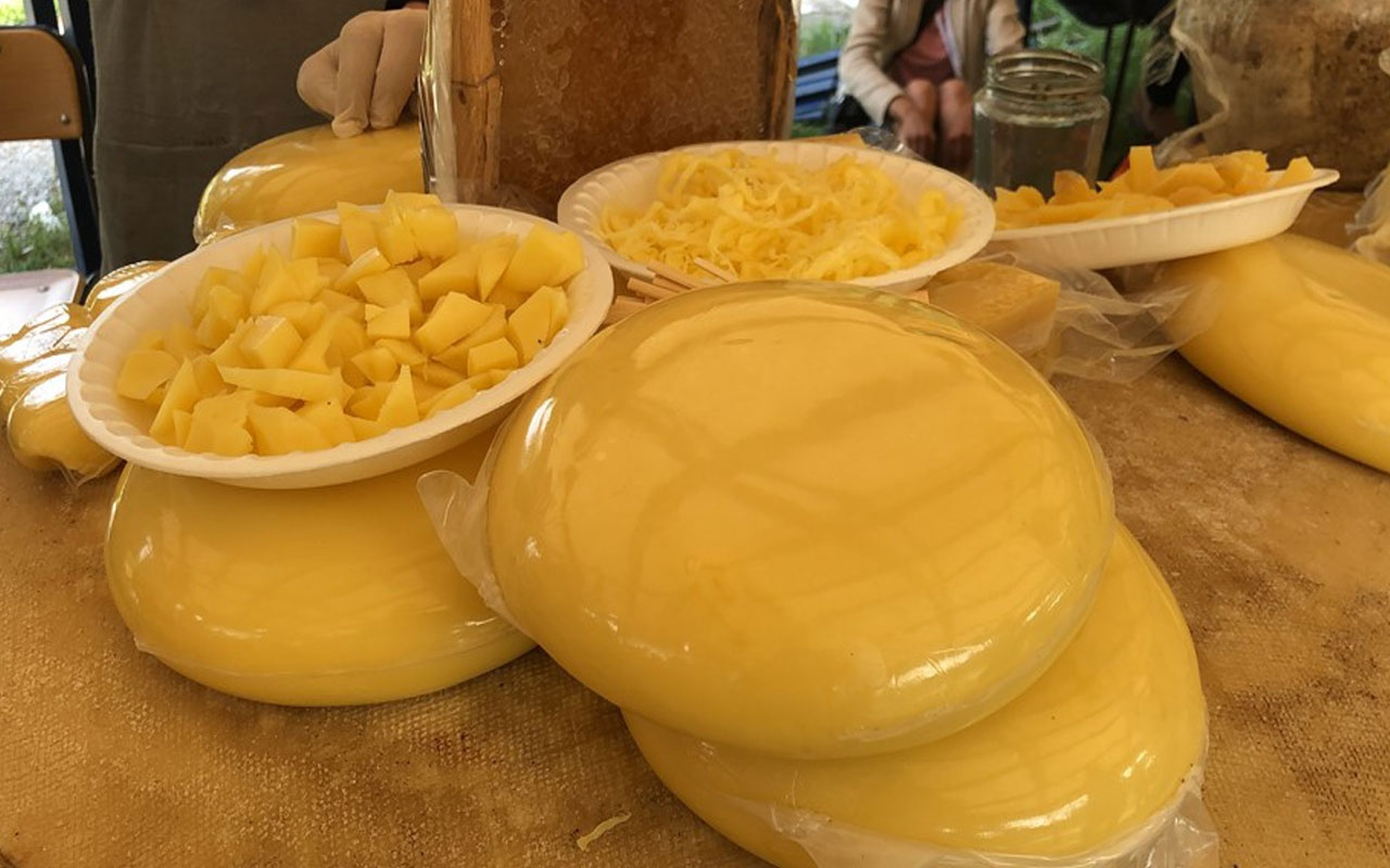 Kars'taki 'Anadolu Peynirleri Buluşması'nda 32 ilden gelen peynirler beğeniye sunuldu