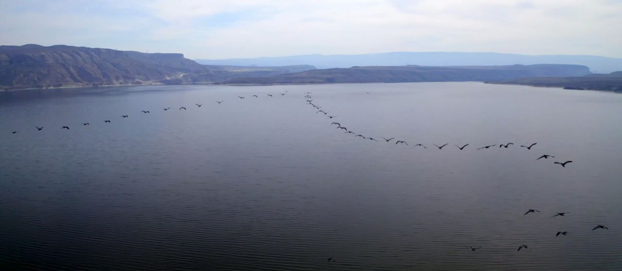 Nallıhan'da ip gibi süzüldüler! Drone ile havadan görüntülendiler