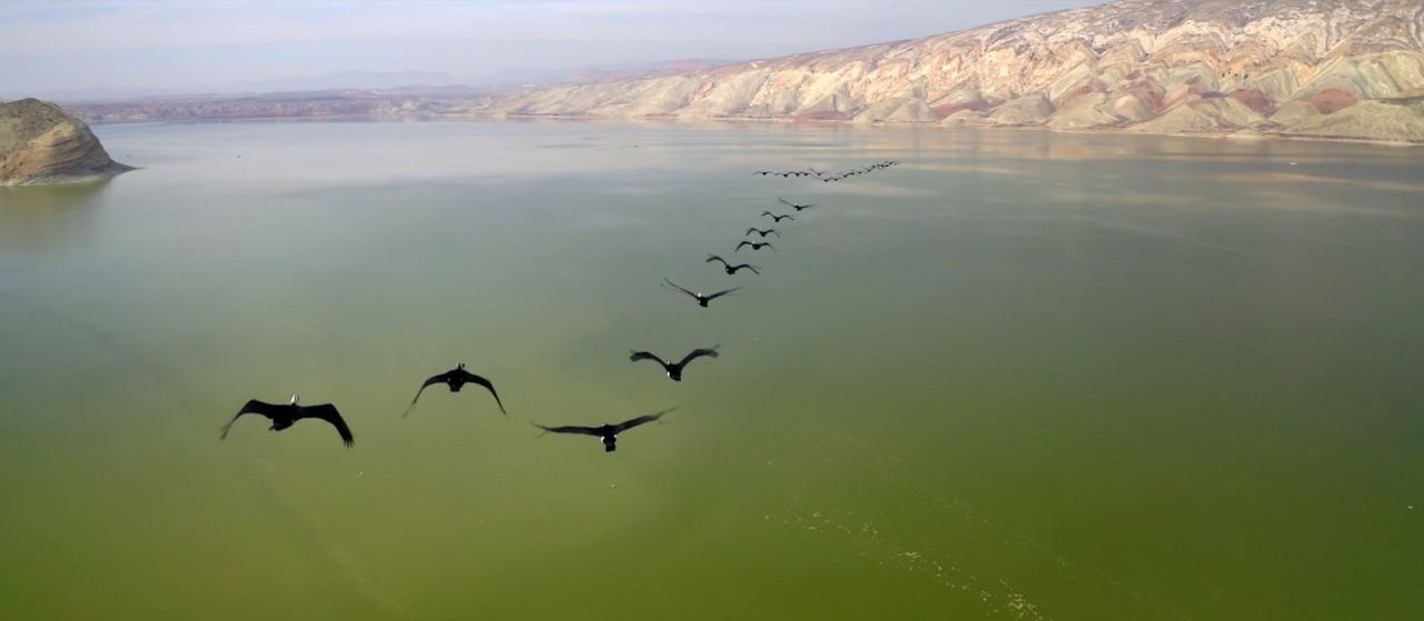 Nallıhan'da ip gibi süzüldüler! Drone ile havadan görüntülendiler