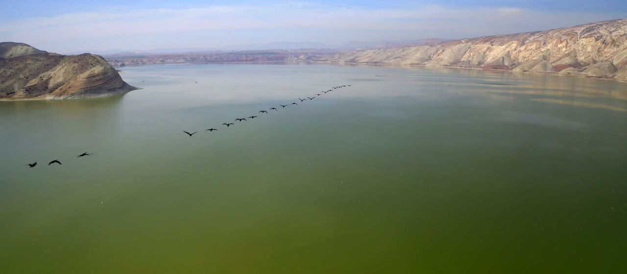 Nallıhan'da ip gibi süzüldüler! Drone ile havadan görüntülendiler